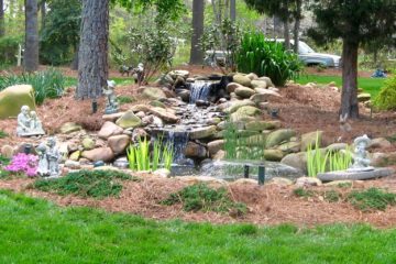 Pond, shah, water feature
